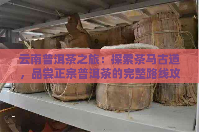 云南普洱茶之旅：探索茶马古道，品尝正宗普洱茶的完整路线攻略