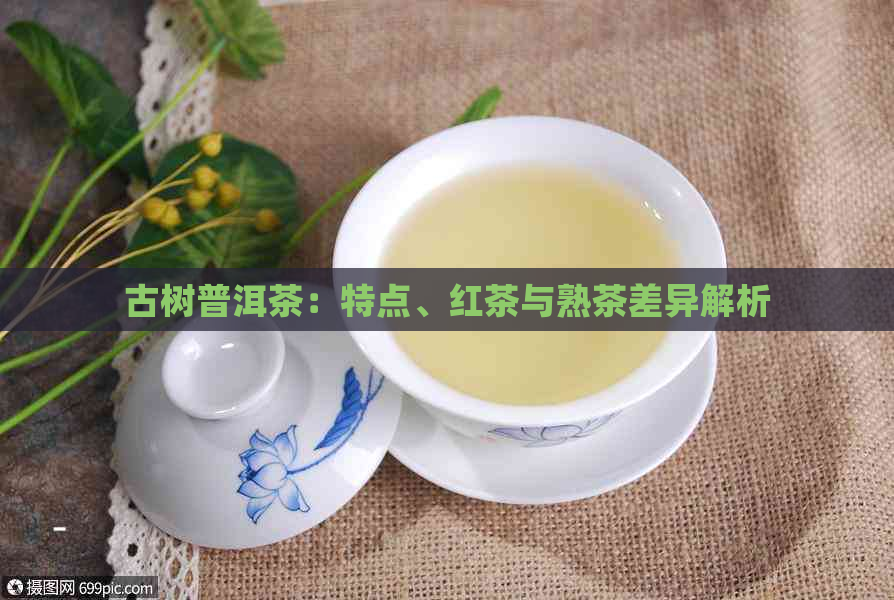 古树普洱茶：特点、红茶与熟茶差异解析