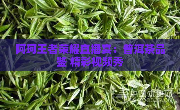 阿珂王者荣耀直播宴：普洱茶品鉴 精彩视频秀