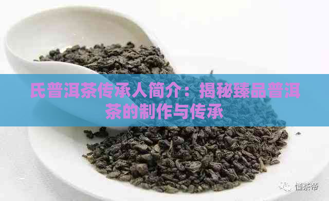 氏普洱茶传承人简介：揭秘臻品普洱茶的制作与传承