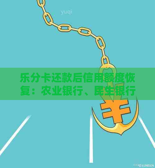 乐分卡还款后信用额度恢复：农业银行、民生银行信用卡实战解析