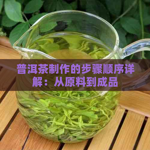 普洱茶制作的步骤顺序详解：从原料到成品