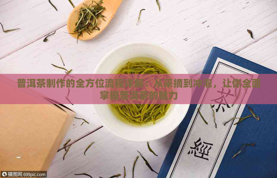 普洱茶制作的全方位流程详解：从采摘到冲泡，让你全面掌握普洱茶的魅力