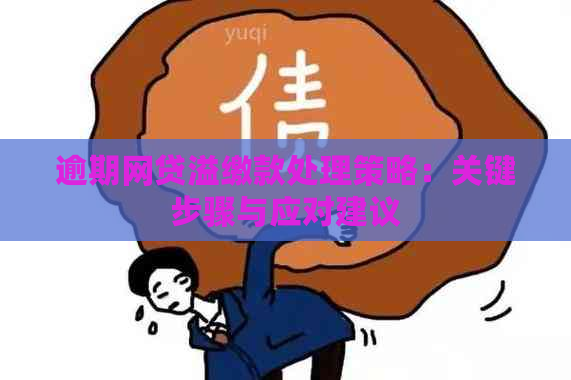 逾期网贷溢缴款处理策略：关键步骤与应对建议