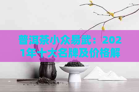 普洱茶小众易武：2021年十大名牌及价格解析