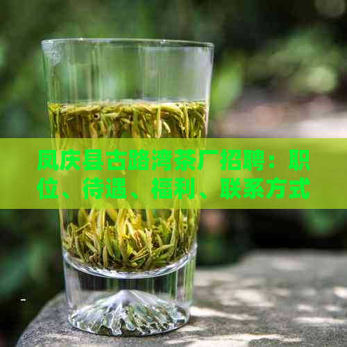 凤庆县古路湾茶厂招聘：职位、待遇、福利、联系方式等全面信息一览