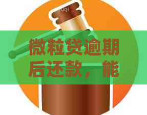 微粒贷逾期后还款，能否重新开通？