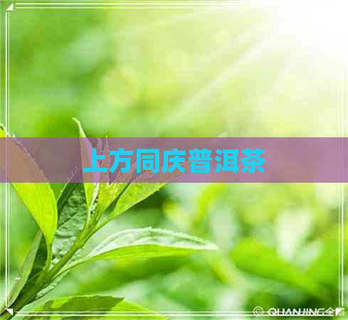 上方同庆普洱茶