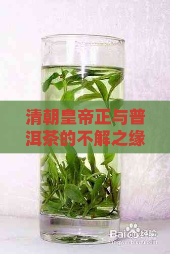 清朝皇帝正与普洱茶的不解之缘