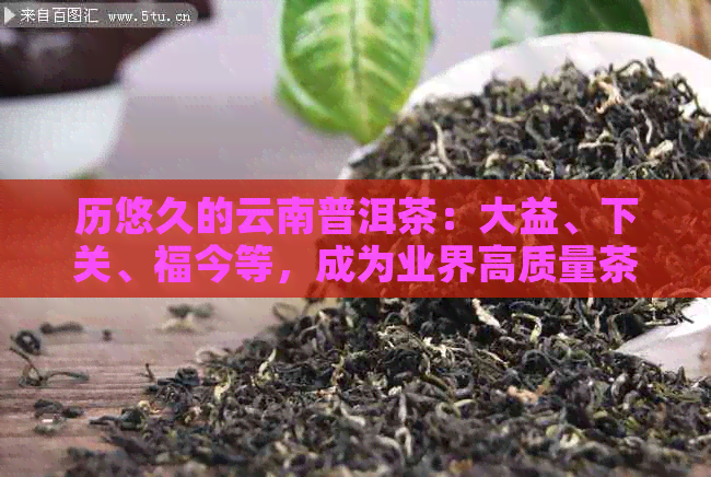 历悠久的云南普洱茶：大益、下关、福今等，成为业界高质量茶叶的代表