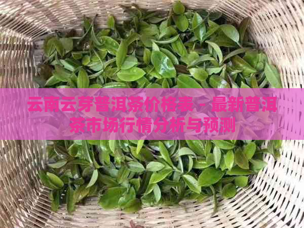 云南云芽普洱茶价格表 - 最新普洱茶市场行情分析与预测