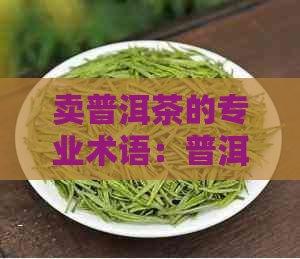 卖普洱茶的专业术语：普洱茶行业常用词汇大全