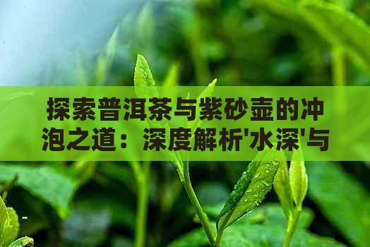 探索普洱茶与紫砂壶的冲泡之道：深度解析'水深'与'水浅'现象