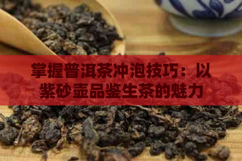 掌握普洱茶冲泡技巧：以紫砂壶品鉴生茶的魅力