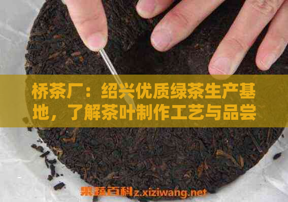 桥茶厂：绍兴优质绿茶生产基地，了解茶叶制作工艺与品尝指南