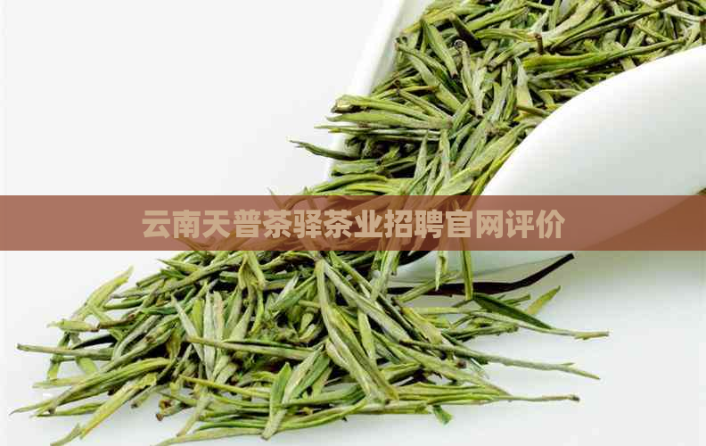 云南天普茶驿茶业招聘官网评价