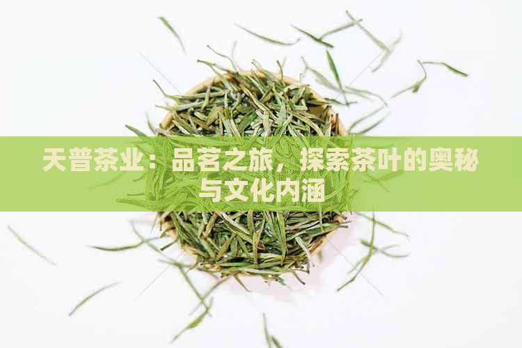 天普茶业：品茗之旅，探索茶叶的奥秘与文化内涵