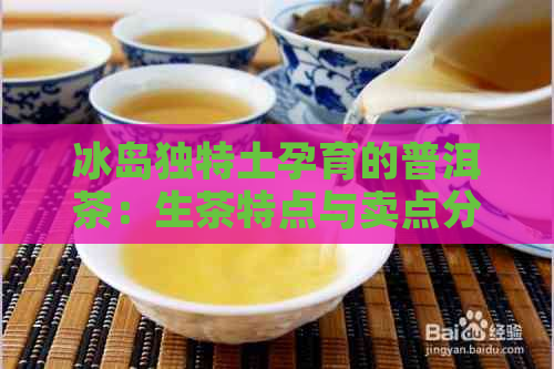 冰岛独特土孕育的普洱茶：生茶特点与卖点分析