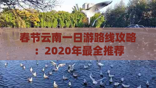 春节云南一日游路线攻略：2020年最全推荐