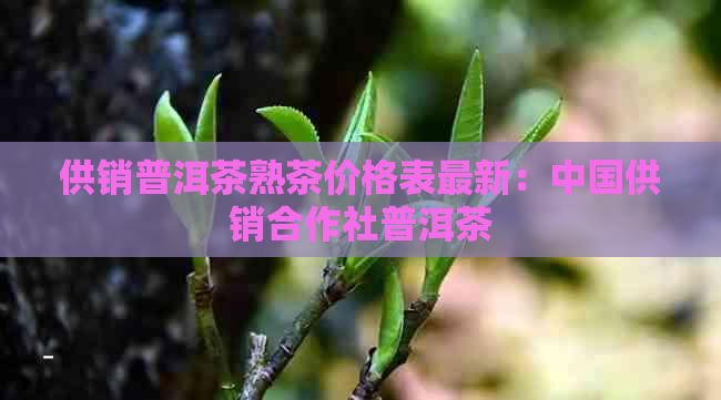 供销普洱茶熟茶价格表最新：中国供销合作社普洱茶