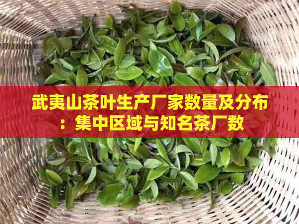 武夷山茶叶生产厂家数量及分布：集中区域与知名茶厂数