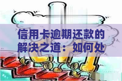 信用卡逾期还款的解决之道：如何处理分期欠款