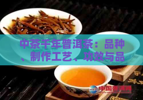 中茶千年普洱茶：品种、制作工艺、功效与品鉴全方位解析