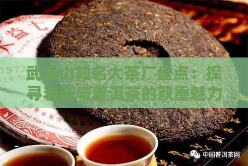 武夷山知名大茶厂盘点：探寻岩茶与普洱茶的双重魅力