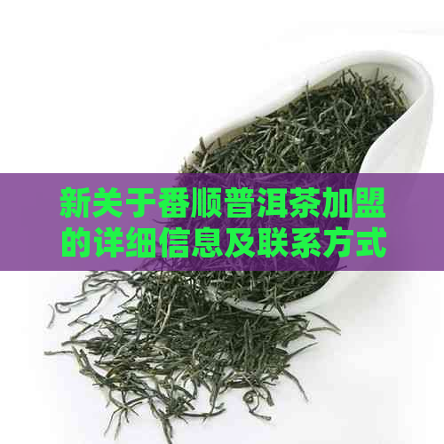 新关于番顺普洱茶加盟的详细信息及联系方式，如何加盟？