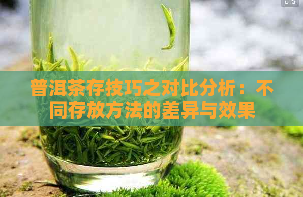 普洱茶存技巧之对比分析：不同存放方法的差异与效果