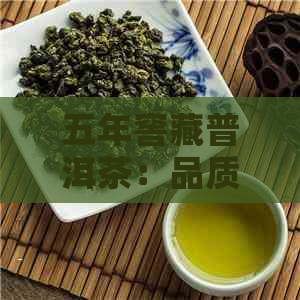 五年窖藏普洱茶：品质与陈化的秘密解析