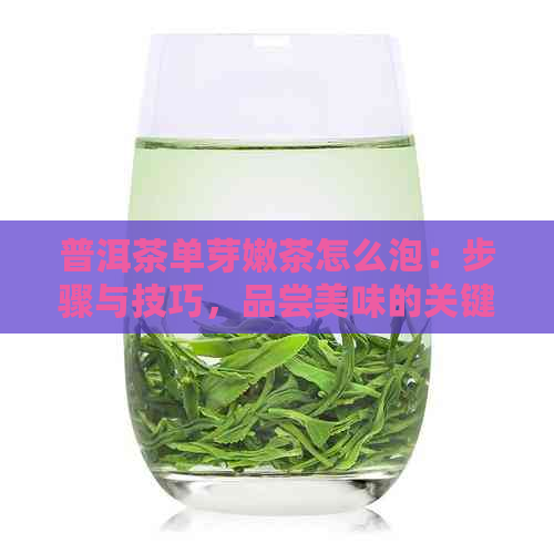 普洱茶单芽嫩茶怎么泡：步骤与技巧，品尝美味的关键