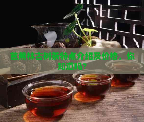 芭蕉林古树茶特点介绍及价格，你知道吗？