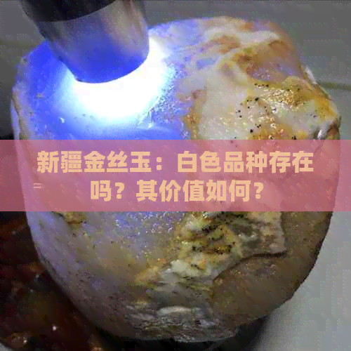 新疆金丝玉：白色品种存在吗？其价值如何？