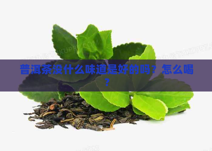 普洱茶没什么味道是好的吗？怎么喝？