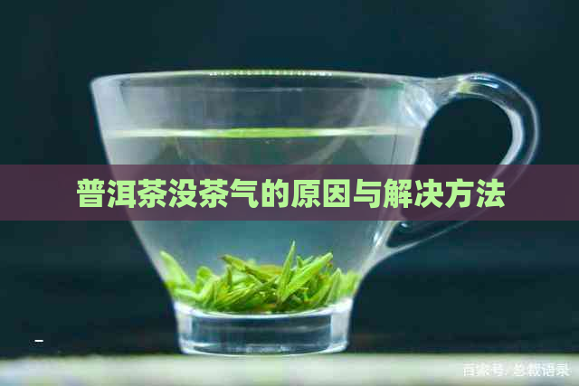 普洱茶没茶气的原因与解决方法