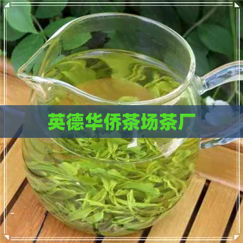 英德华侨茶场茶厂