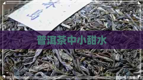 普洱茶中小甜水