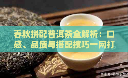 春秋拼配普洱茶全解析：口感、品质与搭配技巧一网打尽！