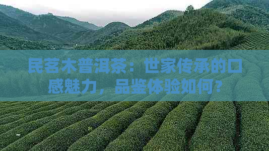 民茗木普洱茶：世家传承的口感魅力，品鉴体验如何？