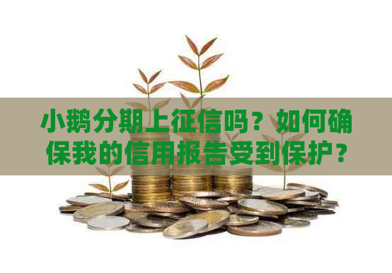 小鹅分期上吗？如何确保我的信用报告受到保护？