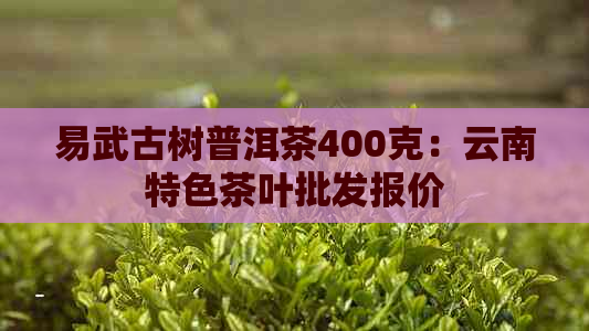 易武古树普洱茶400克：云南特色茶叶批发报价