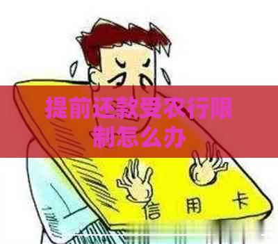 提前还款受农行限制怎么办