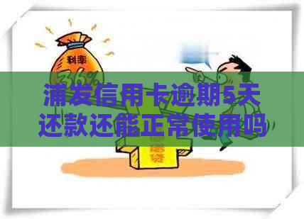 浦发信用卡逾期5天还款还能正常使用吗？安全吗？忘记还款的5天后果