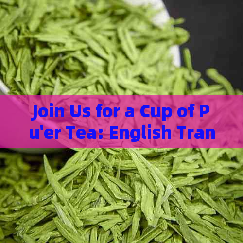 Join Us for a Cup of Pu'er Tea: English Translation and Usage