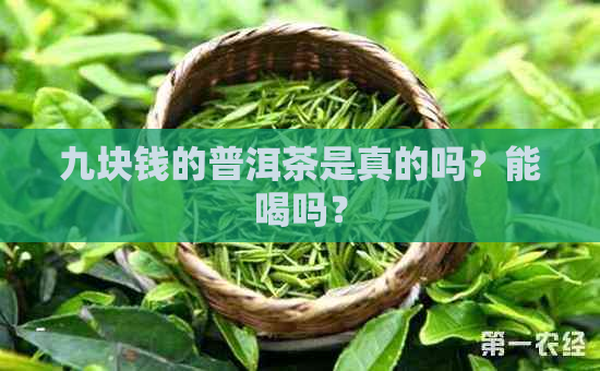 九块钱的普洱茶是真的吗？能喝吗？