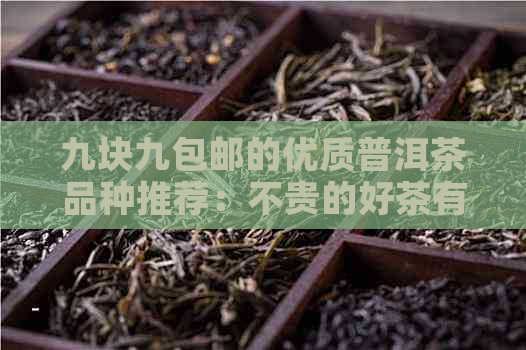 九块九包邮的优质普洱茶品种推荐：不贵的好茶有哪些？