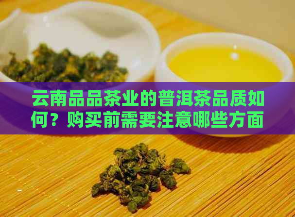 云南品品茶业的普洱茶品质如何？购买前需要注意哪些方面？