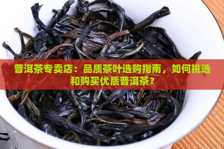 普洱茶专卖店：品质茶叶选购指南，如何挑选和购买优质普洱茶？