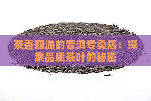 茶香四溢的普洱专卖店：探索品质茶叶的秘密